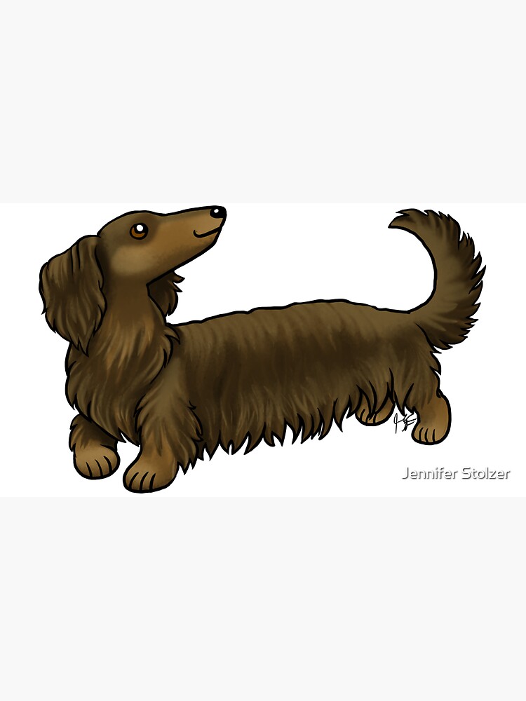 Long Haired Dachshund - Brown and Tan by jameson9101322
