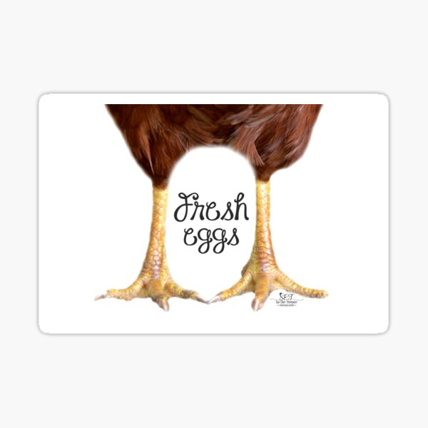 Fresh Eggs Sticker