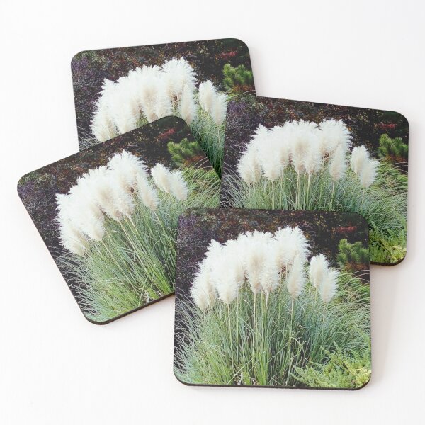 Item preview, White Pampas designed and sold by steeleart1.