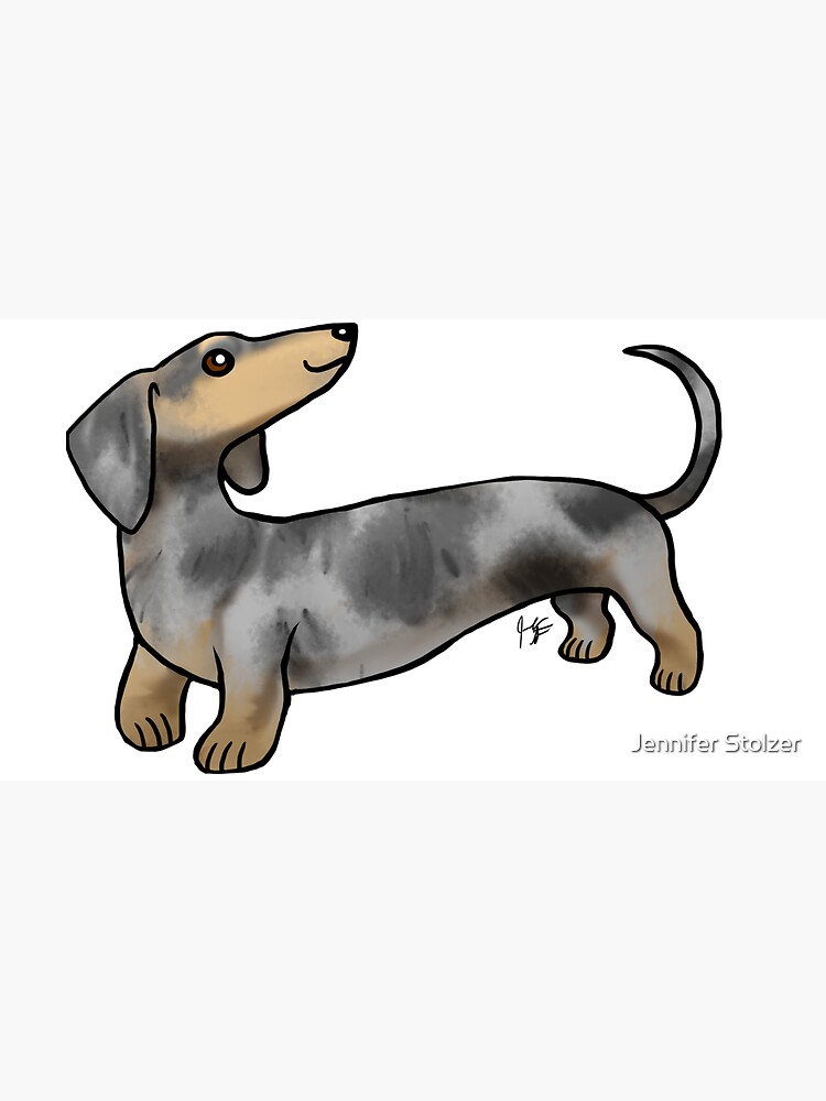 Smooth Coat Dachshund - Dappled by jameson9101322