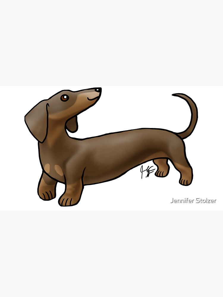 Smooth Coat Dachshund - Brown and Tan by jameson9101322