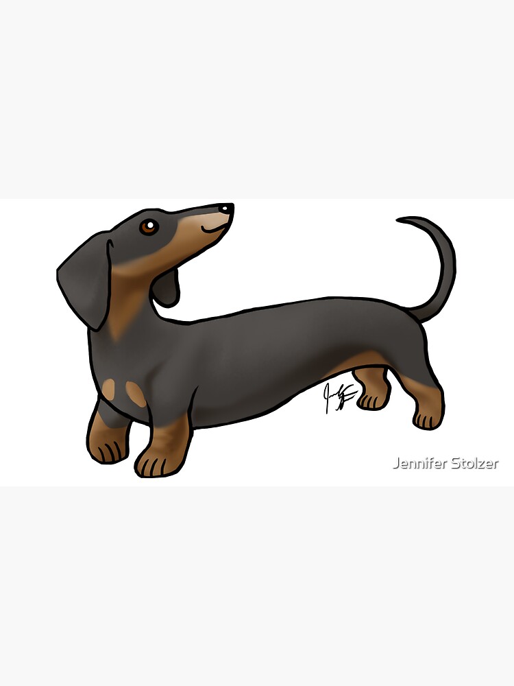 Smooth Coat Dachshund - Black and Tan by jameson9101322