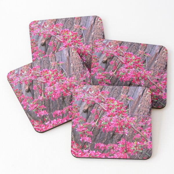 Item preview, Rustic Chokecherry Blossoms designed and sold by KR Art Studio.