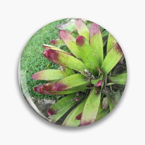 Item preview, GREEN BEAUTY designed and sold by iAmmAja43.