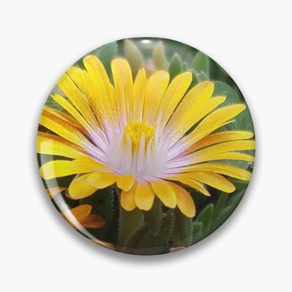 Item preview, Flowers beauty of nature designed and sold by MYSYNERGY.