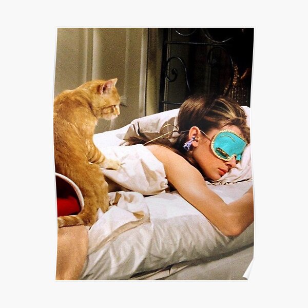 Sleep with cats Poster