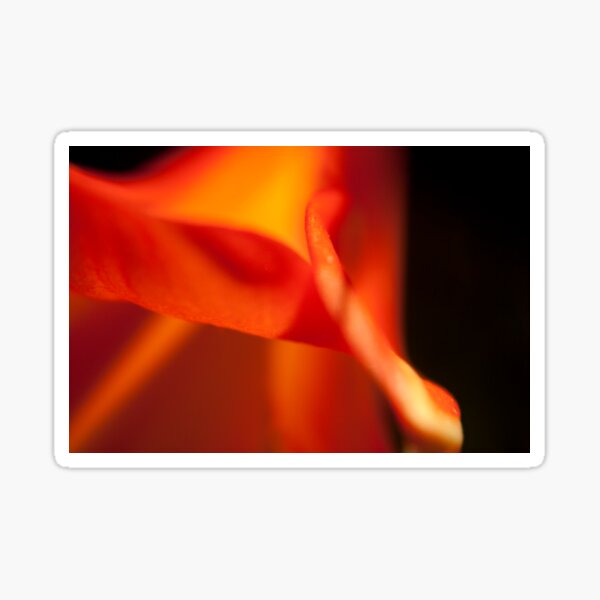 The Orange Flower Sticker