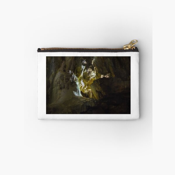 Item preview, Ursus spelaeus cave in romanian mountains transilvania designed and sold by pellinni.