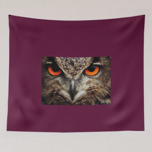 Item preview, OWL a Symbol of Wisdom - El búho, símbolo de la Sabiduría designed and sold by josesita.