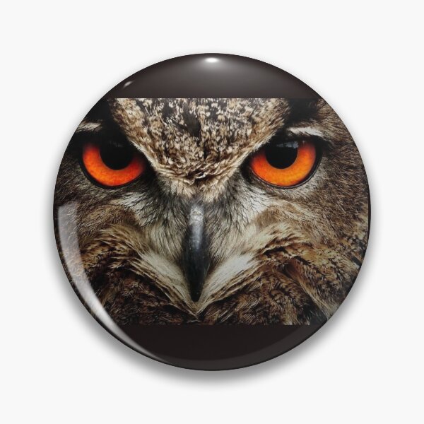 Item preview, OWL a Symbol of Wisdom - El búho, símbolo de la Sabiduría designed and sold by josesita.