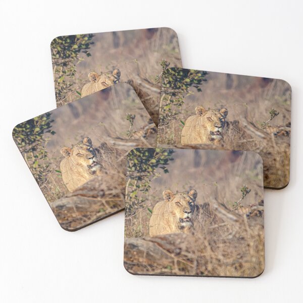 Item preview, Lion on the lookout designed and sold by Pravine Chester.