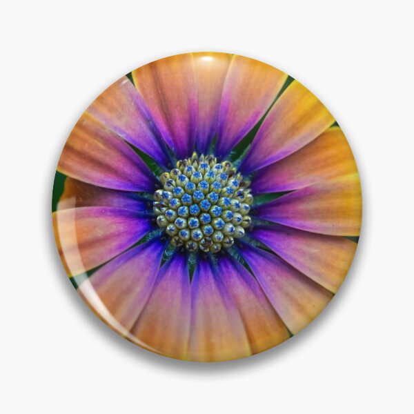 Item preview, Osteospermum Flower designed and sold by Alisonchambers2.