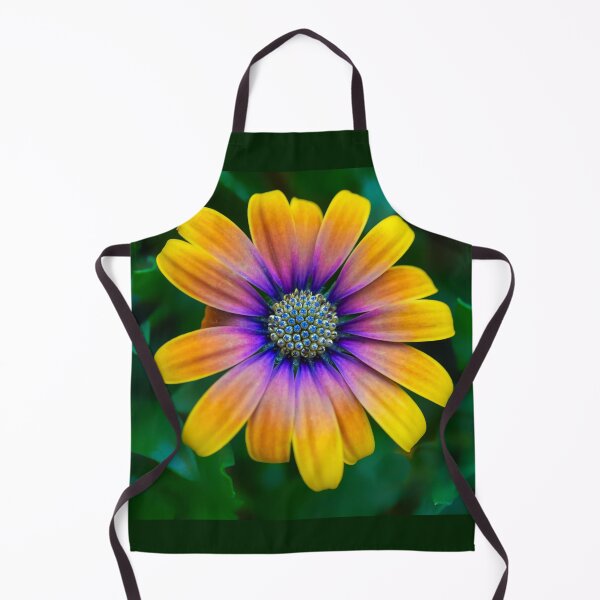 Item preview, Osteospermum Flower designed and sold by Alisonchambers2.