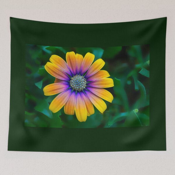 Item preview, Osteospermum Flower designed and sold by Alisonchambers2.