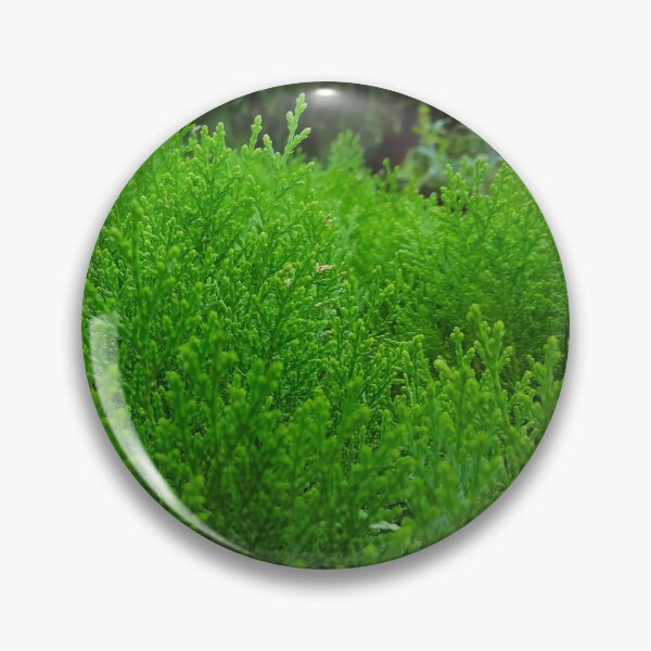 Item preview, Beautiful Green Grass Plants Greenery designed and sold by Ferozign.