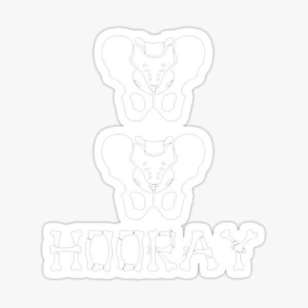 Hip Hip Hooray Sticker for Sale by kuniseng30