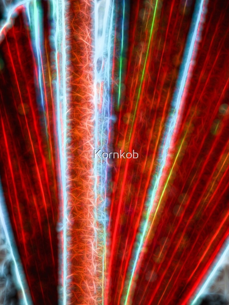Abstract Palm Leaf by JohnCorney