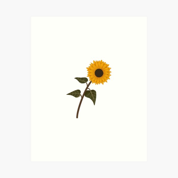 Sketchbook: Aesthetic Sunflower Gifts Large Sketchbook / Notebook for  Drawing Blank Journal Notepad to Draw, Doodle, yellow flower Design (8.5 x  11 110 Pages) Cute Gifts for Girls Boys & Women Men by - Amazon.ae