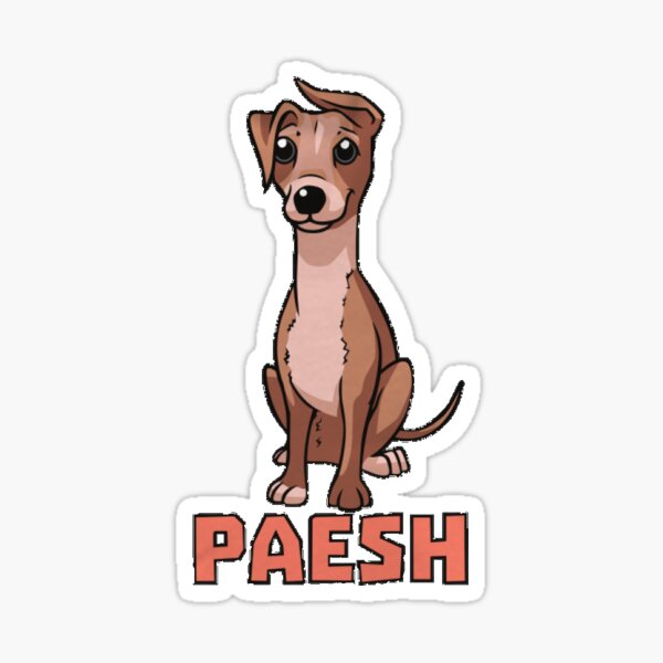 Paesh Sticker