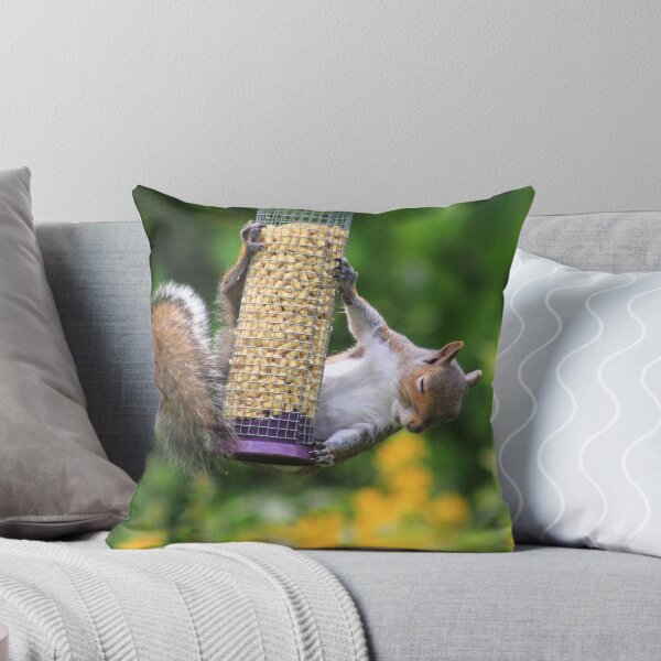 Item preview, Sleepy squirrel designed and sold by turniptowers.