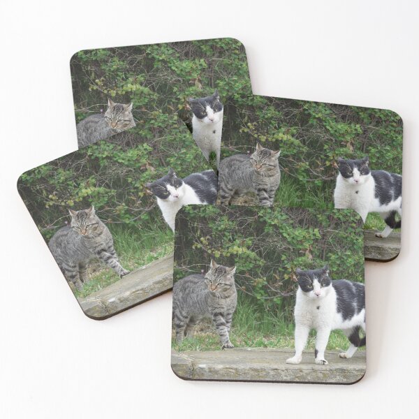 Item preview, Angry Cats designed and sold by Anastasia Kaneva.