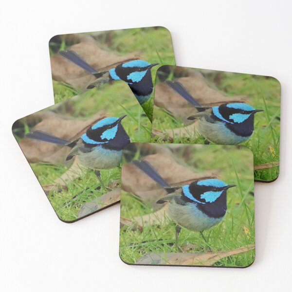 Item preview, Blue Wren designed and sold by Simon  King.