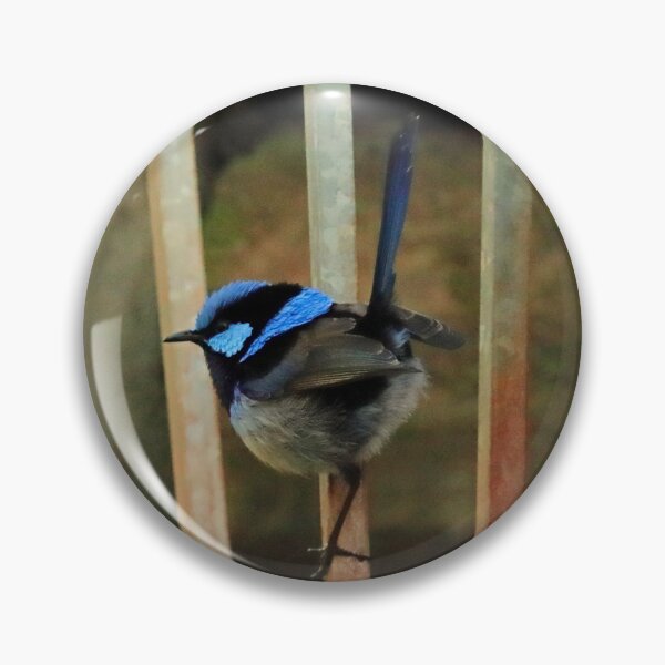 Item preview, Blue Wren  designed and sold by Simon  King.