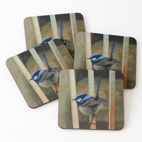 Item preview, Blue Wren  designed and sold by Simon  King.