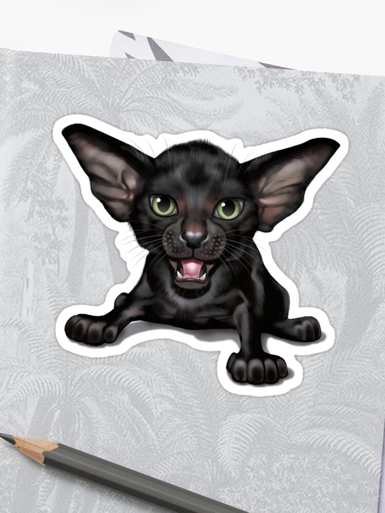 Cataclysm Oriental Shorthair Kitten Classic Canvas Sticker By