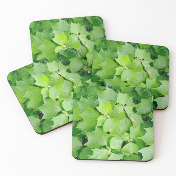 Item preview, Leaves designed and sold by Ranikhan.
