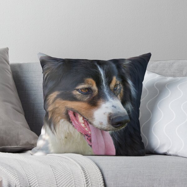 Item preview, Border Collie designed and sold by itchingink.