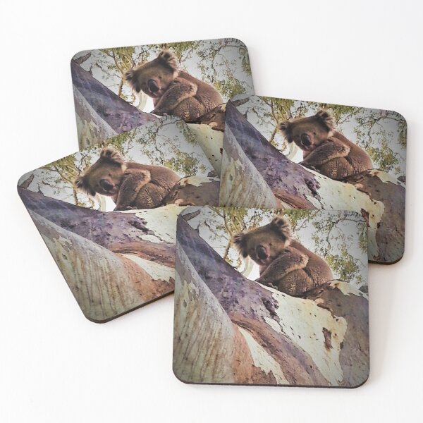 Item preview, Koala looking down at me! designed and sold by Studiopanda.