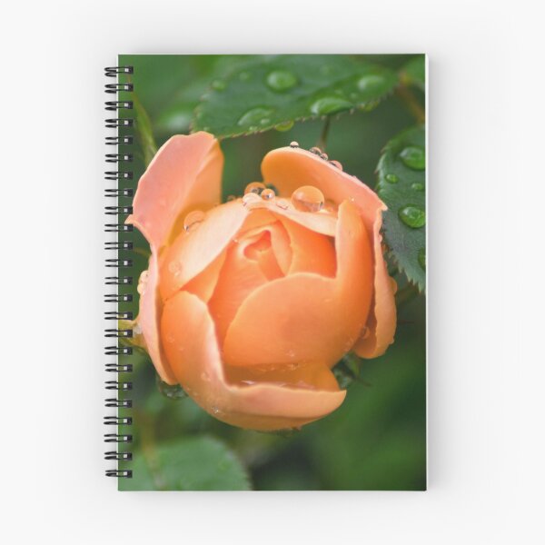 Item preview, Water Droplets on a Peach Rose  designed and sold by Lauren Shawyer.