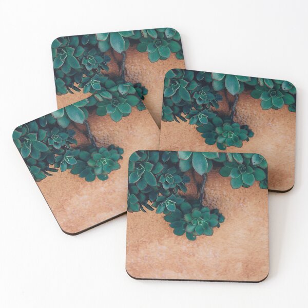 Item preview, Succulent Plant Against A Terracotta Moroccan Wall  designed and sold by IZiets.