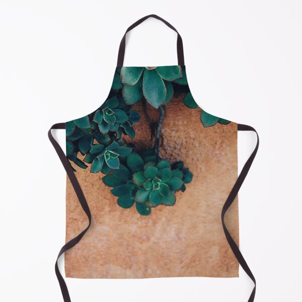Item preview, Succulent Plant Against A Terracotta Moroccan Wall designed and sold by IZiets.