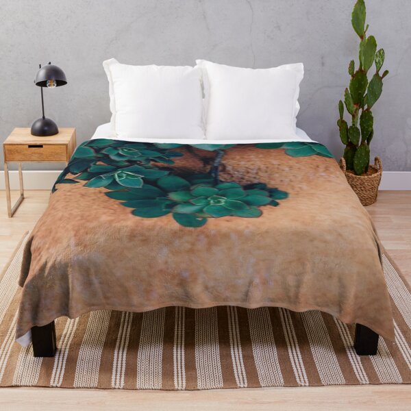 Item preview, Succulent Plant Against A Terracotta Moroccan Wall designed and sold by IZiets.
