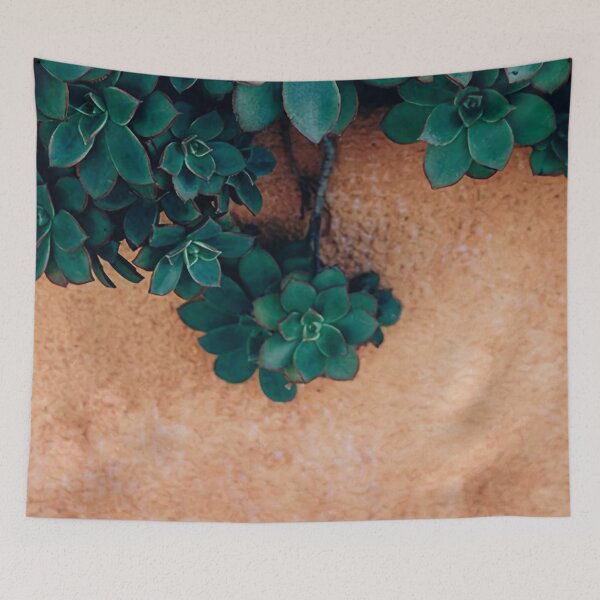 Item preview, Succulent Plant Against A Terracotta Moroccan Wall  designed and sold by IZiets.