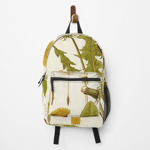 Item preview, Dandelion Life Cycle designed and sold by NatureLand.