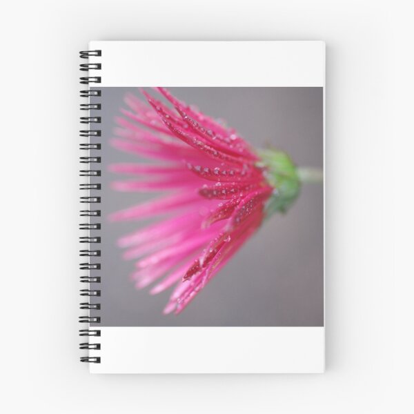 Item preview, prettiest pink designed and sold by Clare Colins.