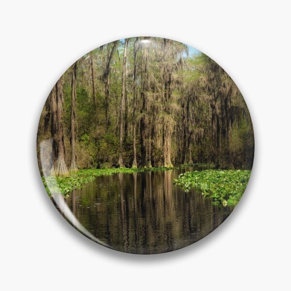 Item preview, Okefenokee Swamp National Wildlife Refuge designed and sold by Kathy Weaver.