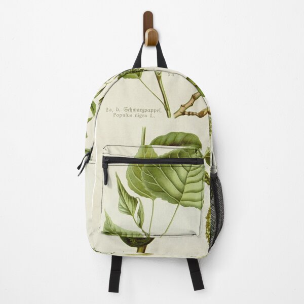 Item preview, Walnut Life Cycle designed and sold by NatureLand.