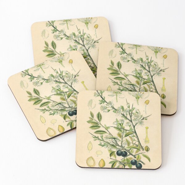 Item preview, Plums Life Cycle designed and sold by NatureLand.