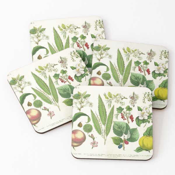 Item preview, Fruits Life Cycle designed and sold by NatureLand.