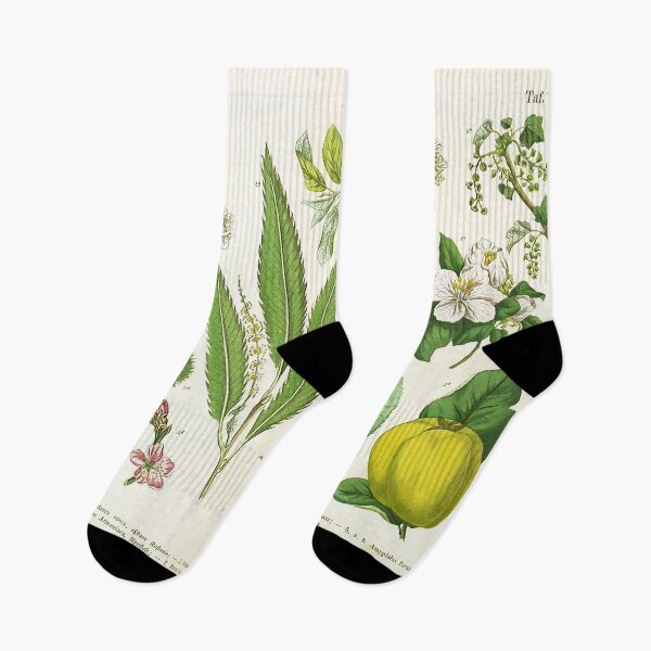 Item preview, Fruits Life Cycle designed and sold by NatureLand.