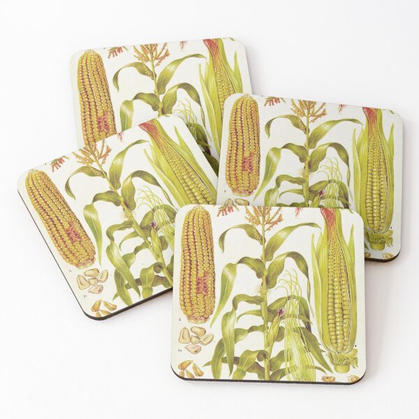 Item preview, Corn Life Cycle designed and sold by NatureLand.