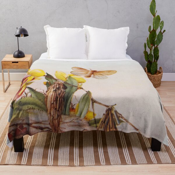 Artikelvorschau, Mottenillustration entworfen und verkauft von Vintage Designs +.