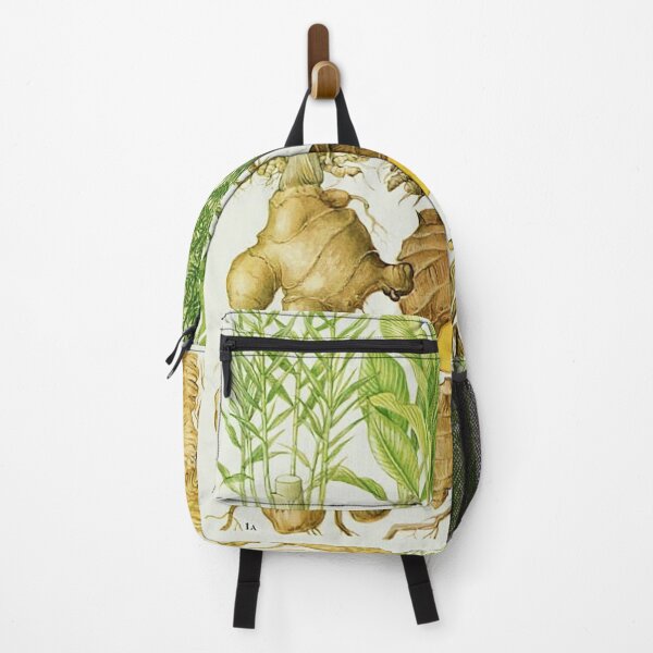 Item preview, Ginger Life Cycle designed and sold by NatureLand.