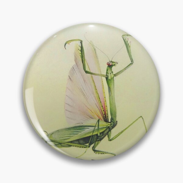 Artikelvorschau, Praying Mantis entworfen und verkauft von Vintage Designs +.