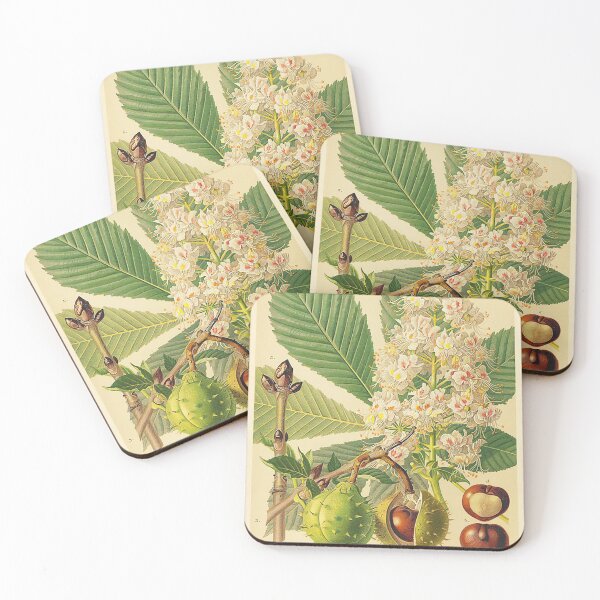 Item preview, Chestnut Life Cycle designed and sold by NatureLand.