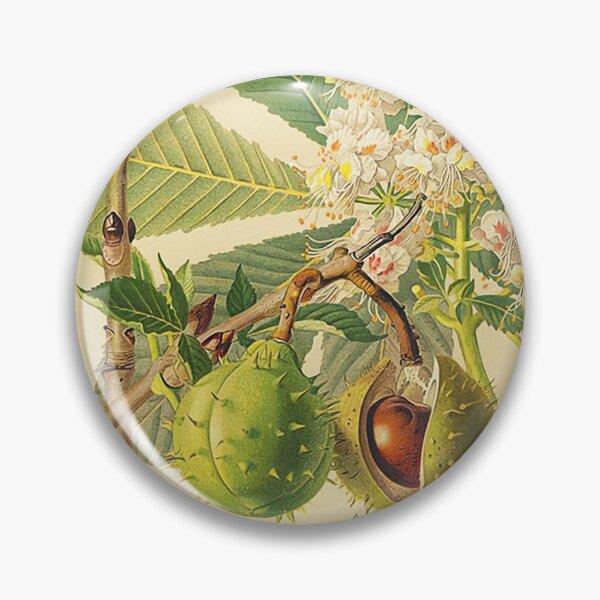 Item preview, Chestnut Life Cycle designed and sold by NatureLand.